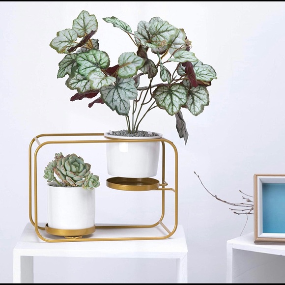 Wall Planters Modern Design Wall Plant Holder - Picture 7 of 7